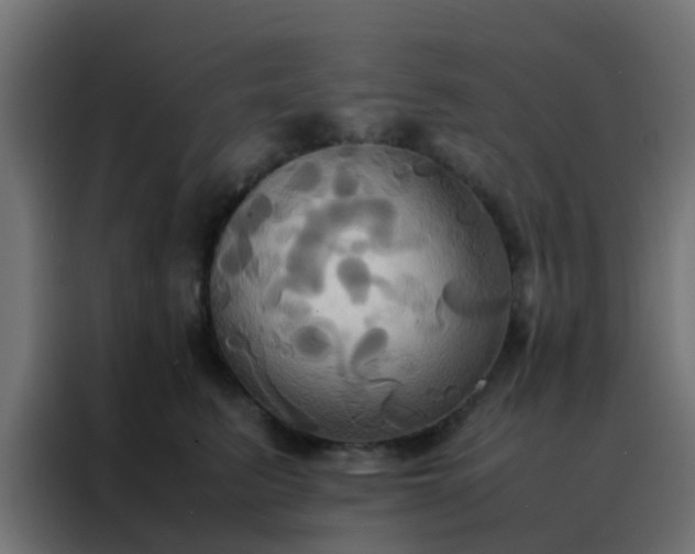 X0000088210615200705221745