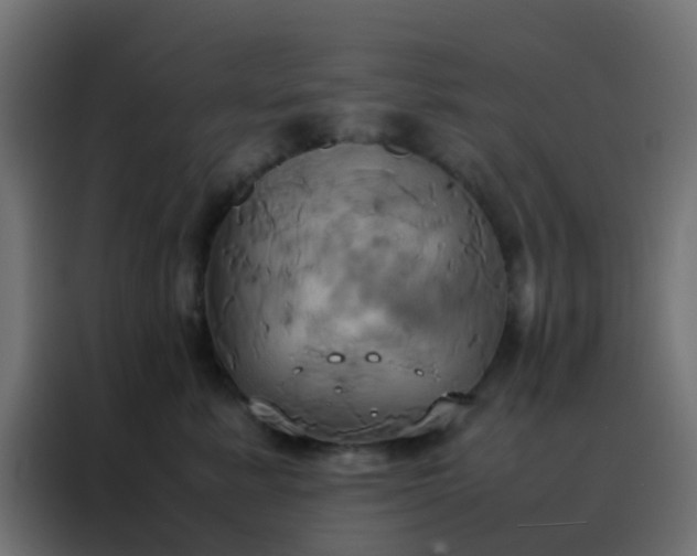 X0000088210619200705221744