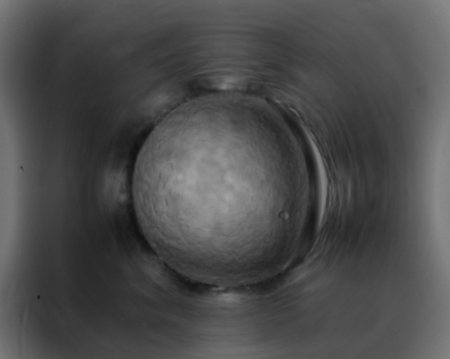 X0000088210620200705221744
