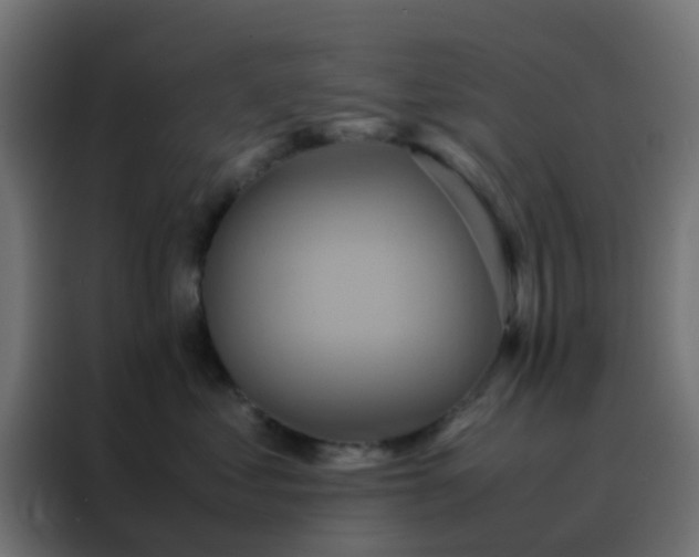 X0000088210621200705221744