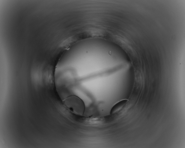 X0000088210622200705221744