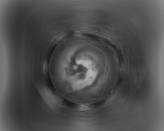 X0000088210623200705221744