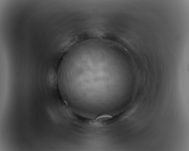 X0000088210624200705221744