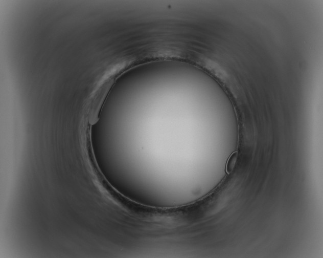 X0000088210625200705221744