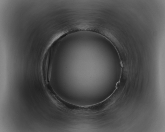 X0000088210626200705221744