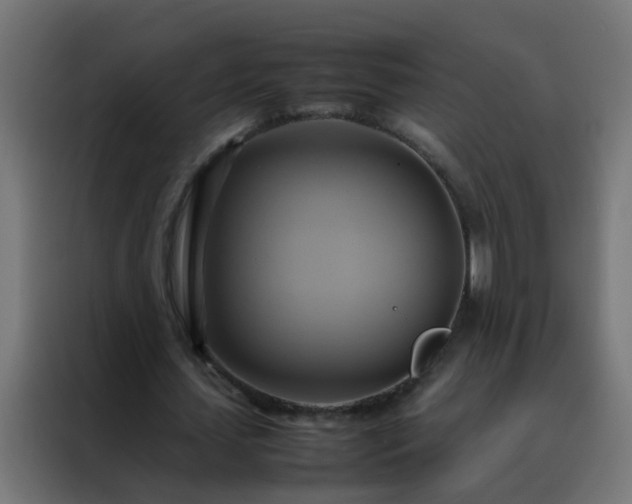 X0000088210627200705221744