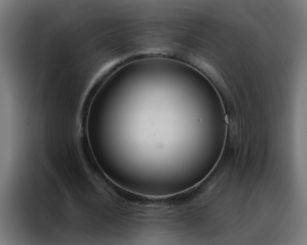 X0000088210628200705221744