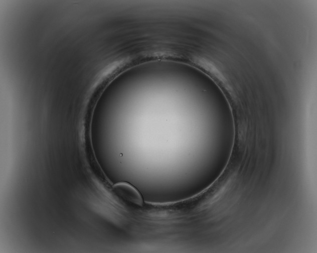 X0000088210629200705221744
