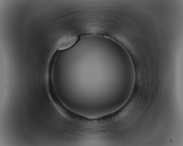 X0000088210630200705221744