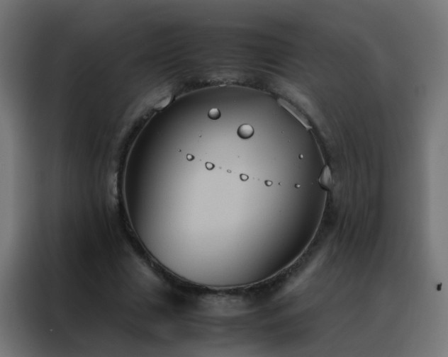 X0000088210633200705221744
