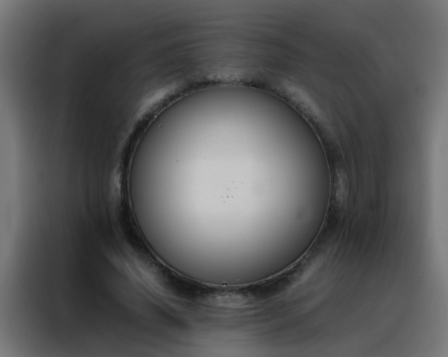 X0000088210636200705221744
