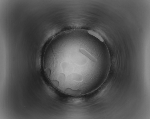 X0000088210638200705221744