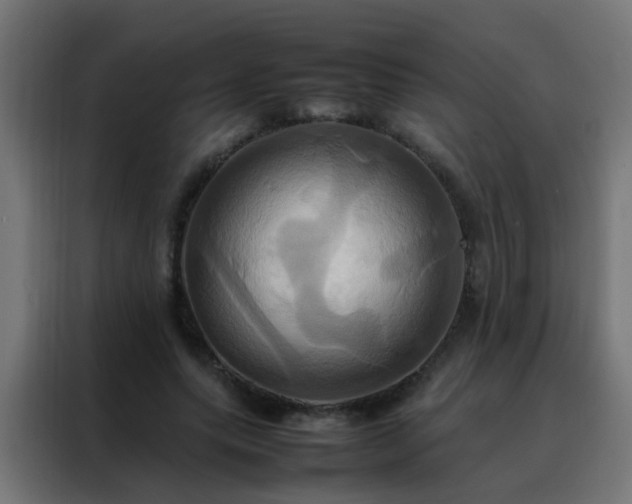 X0000088210639200705221744