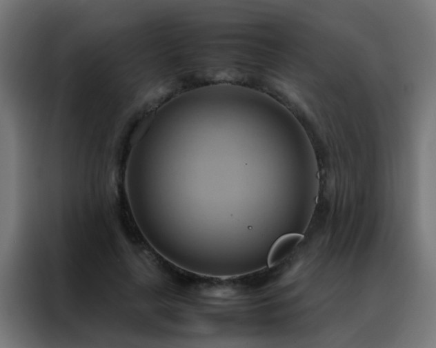 X0000088210643200705221744