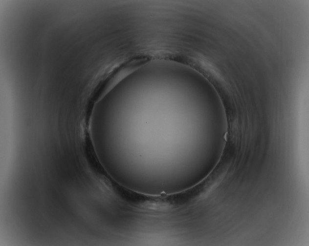 X0000088210644200705221744