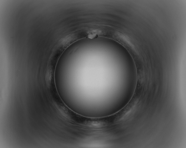 X0000088210645200705221744