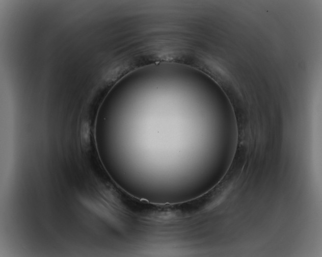 X0000088210646200705221744