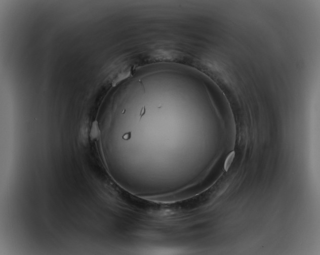 X0000088210647200705221744