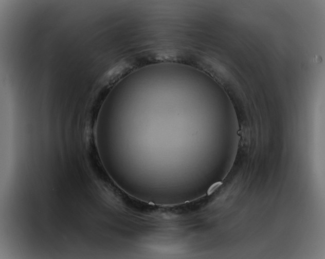 X0000088210648200705221744