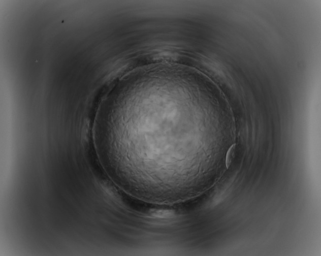X0000088210649200705221744