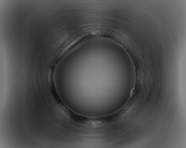 X0000088210650200705221744