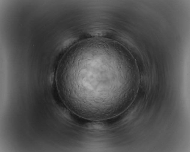 X0000088210652200705221744