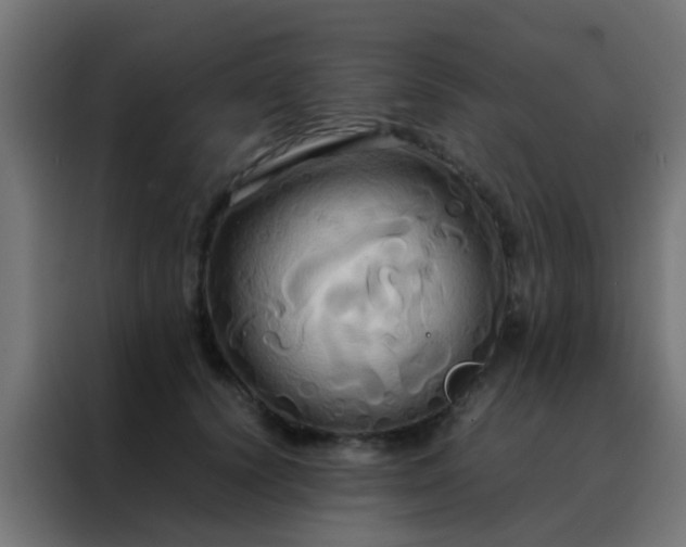 X0000088210656200705221744