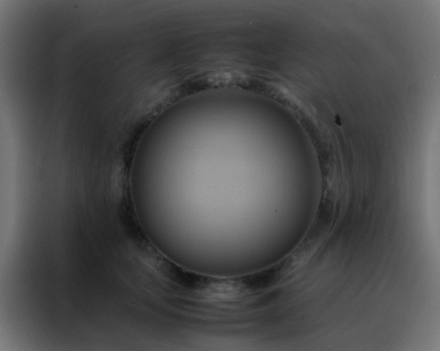 X0000088210659200705221744