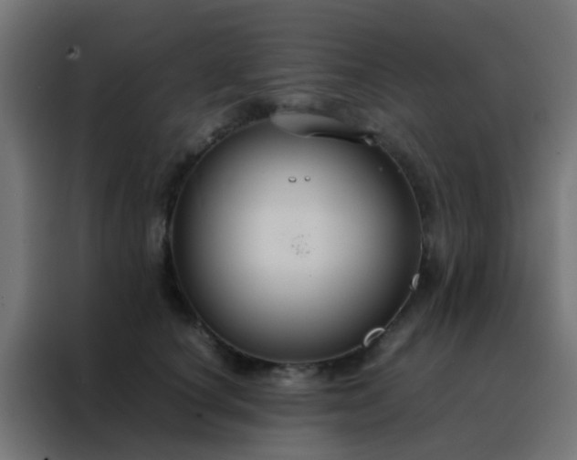 X0000088210660200705221744