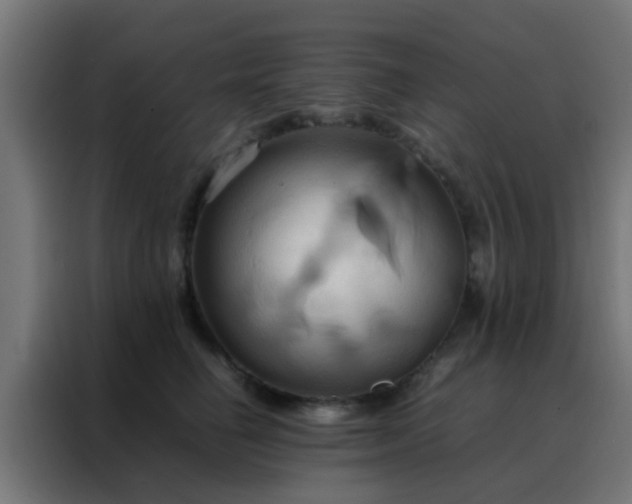 X0000088210662200705221744