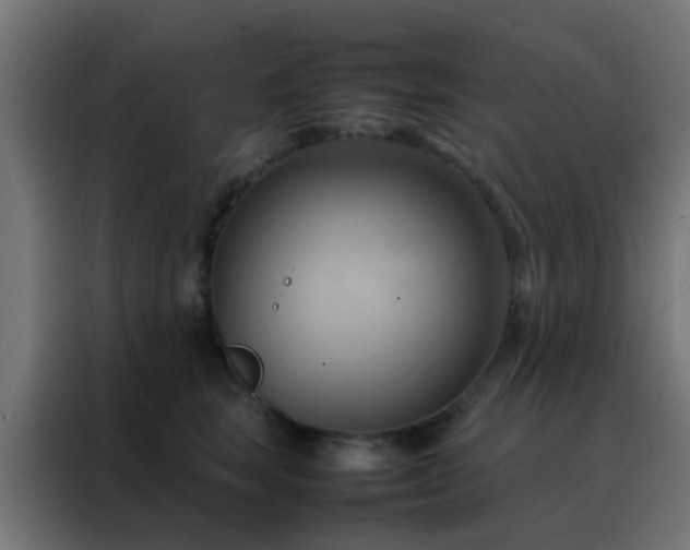 X0000088210663200705221744