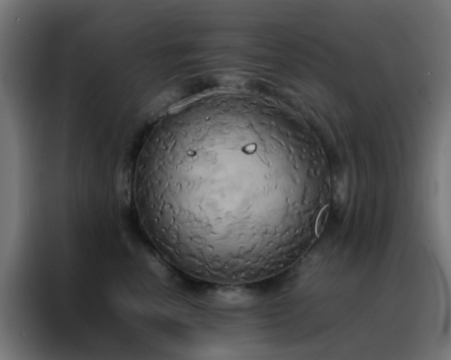 X0000088210666200705221744