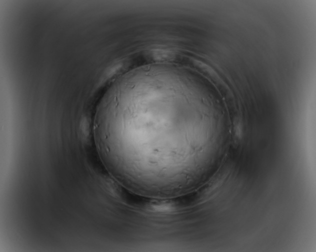 X0000088210667200705221744
