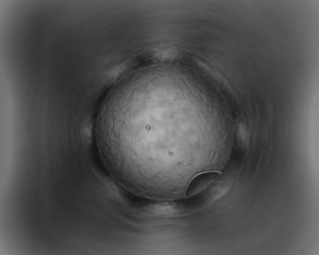 X0000088210668200705221744
