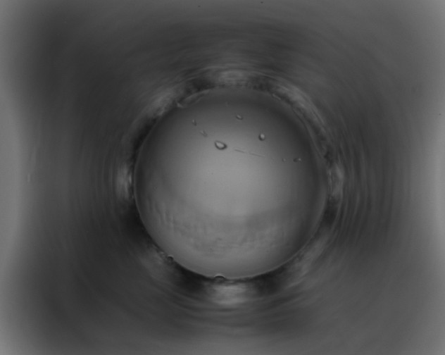 X0000088210669200705221744