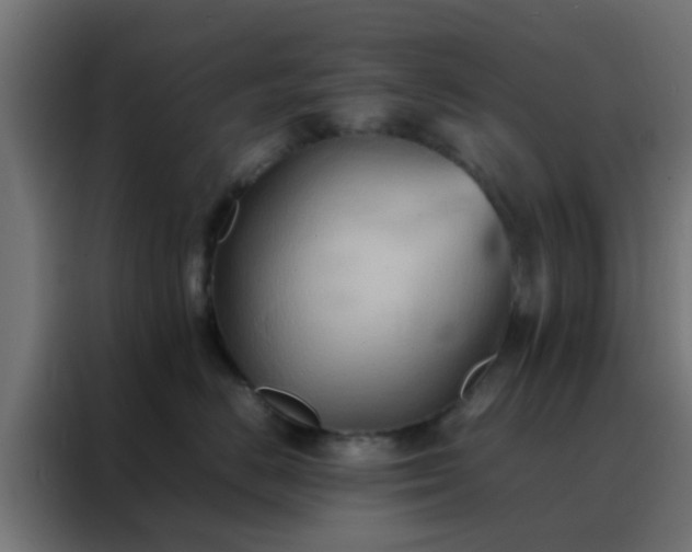 X0000088210670200705221744