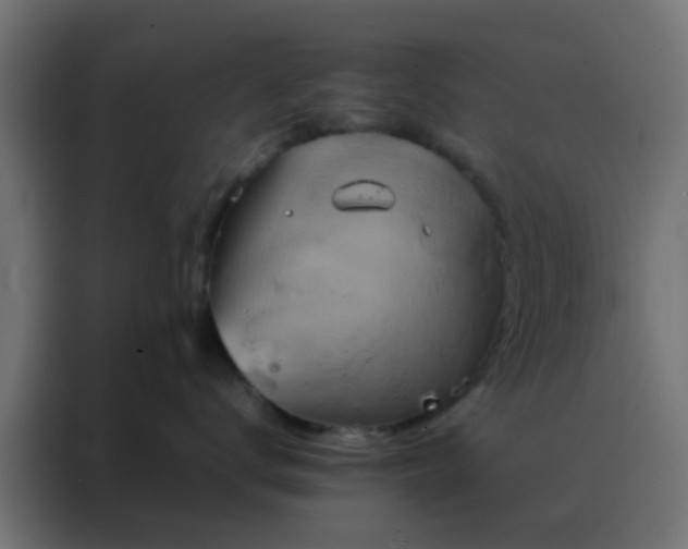 X0000088210672200705221744