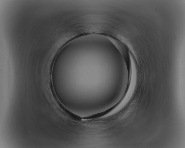 X0000088210673200705221744