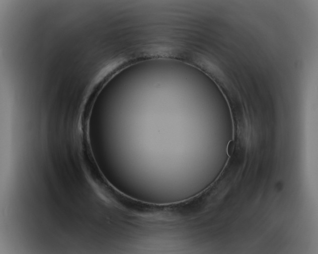 X0000088210674200705221744