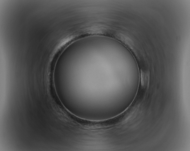 X0000088210675200705221744