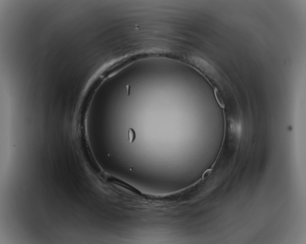 X0000088210676200705221744