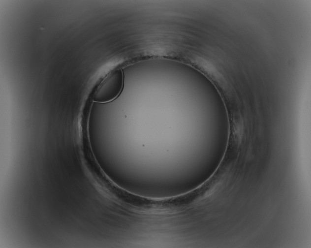 X0000088210678200705221744
