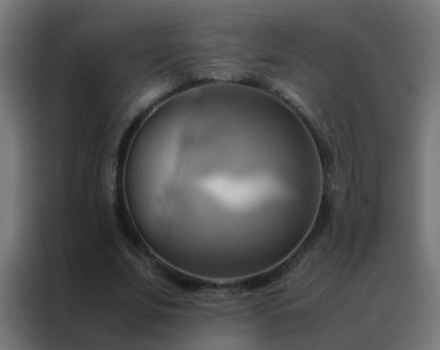 X0000088210679200705221744