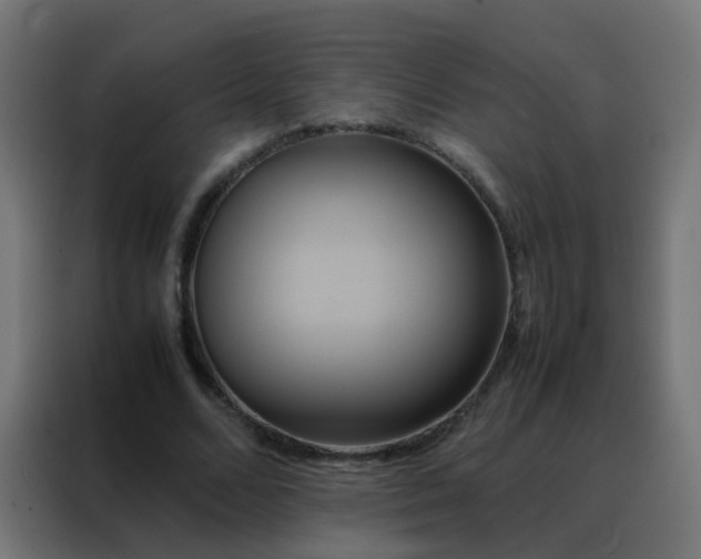 X0000088210680200705221744