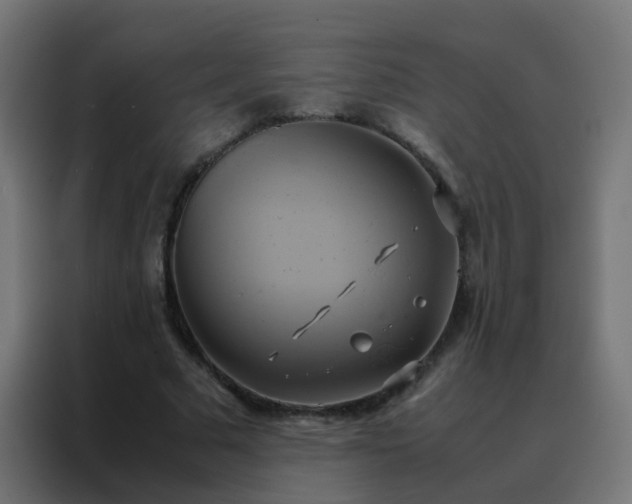 X0000088210681200705221744