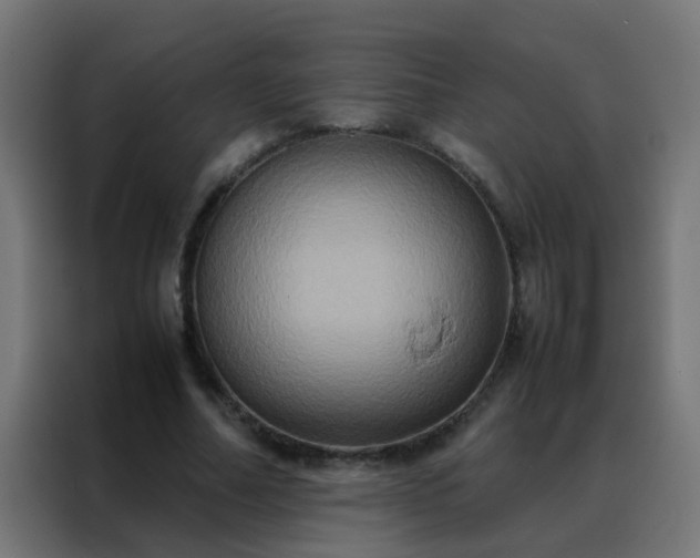 X0000088210682200705221744