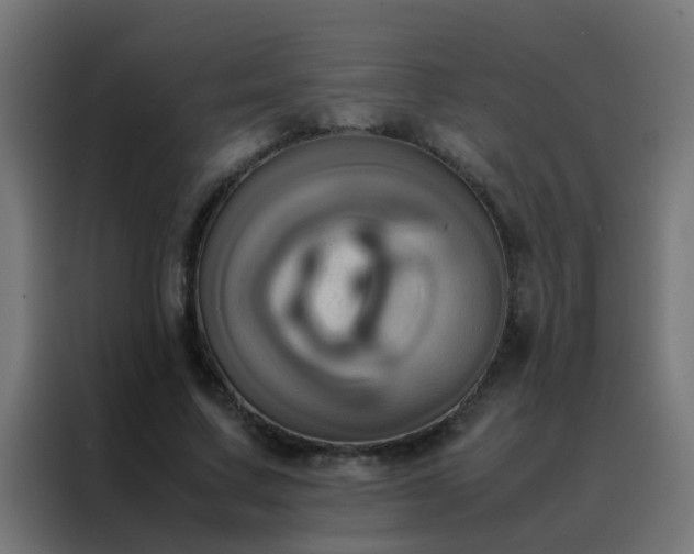 X0000088210683200705221744