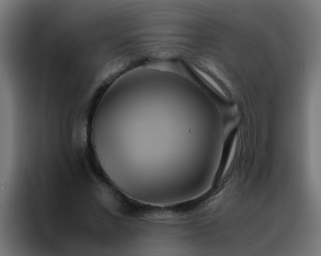 X0000088210685200705221744