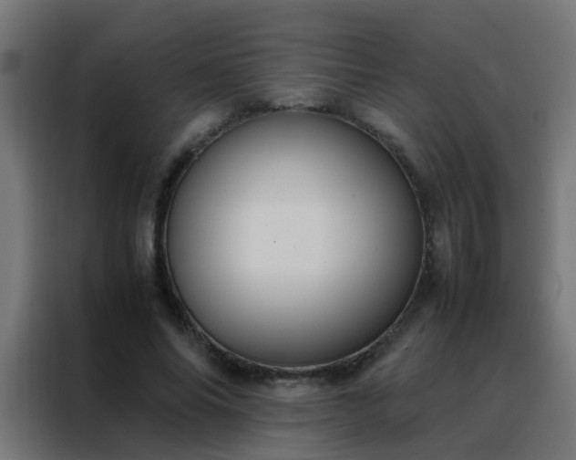 X0000088210686200705221744