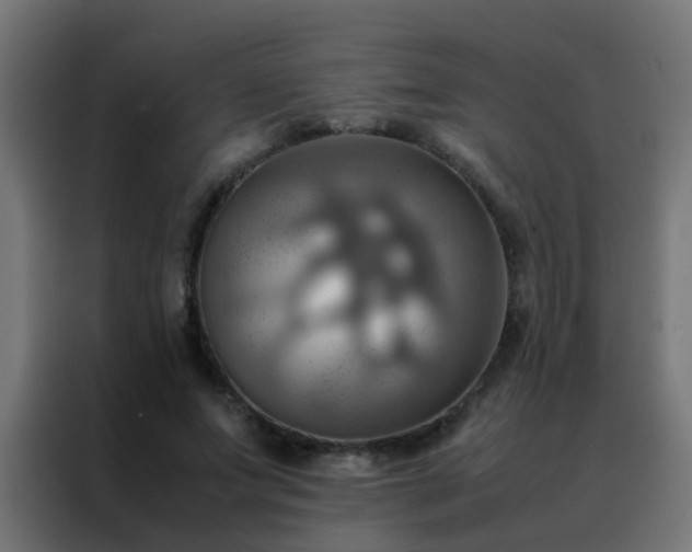 X0000088210687200705221744
